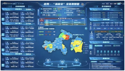 重庆7个案例获评全国数字化监管典型，数据处理服务成关键驱动力