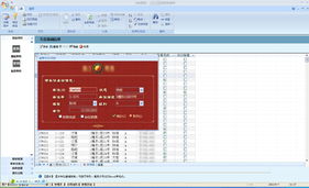 Access软件开发与数据处理服务概述